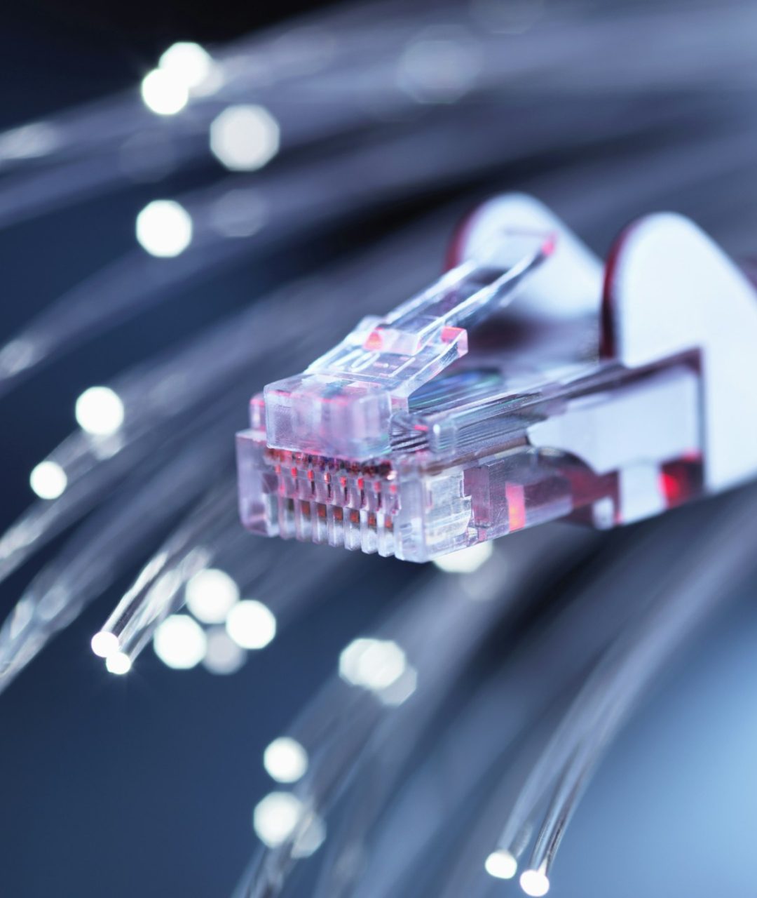 Internet network connector with fibre optics, close-up